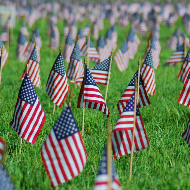 Veteran Family And American Flag Brand Image
