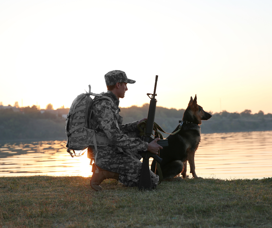 soldier with ar and dog